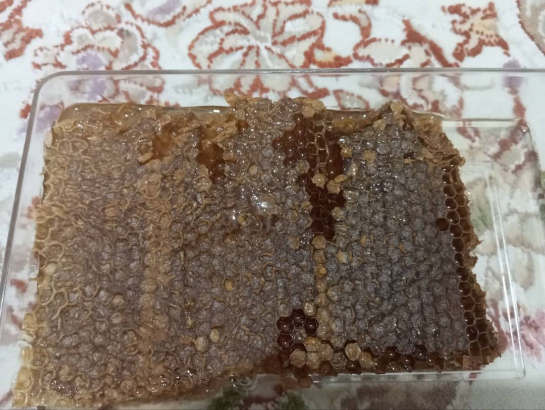 تصویر 4 از فروش بی واسطه عسل خام هانیوا + قیمت خرید