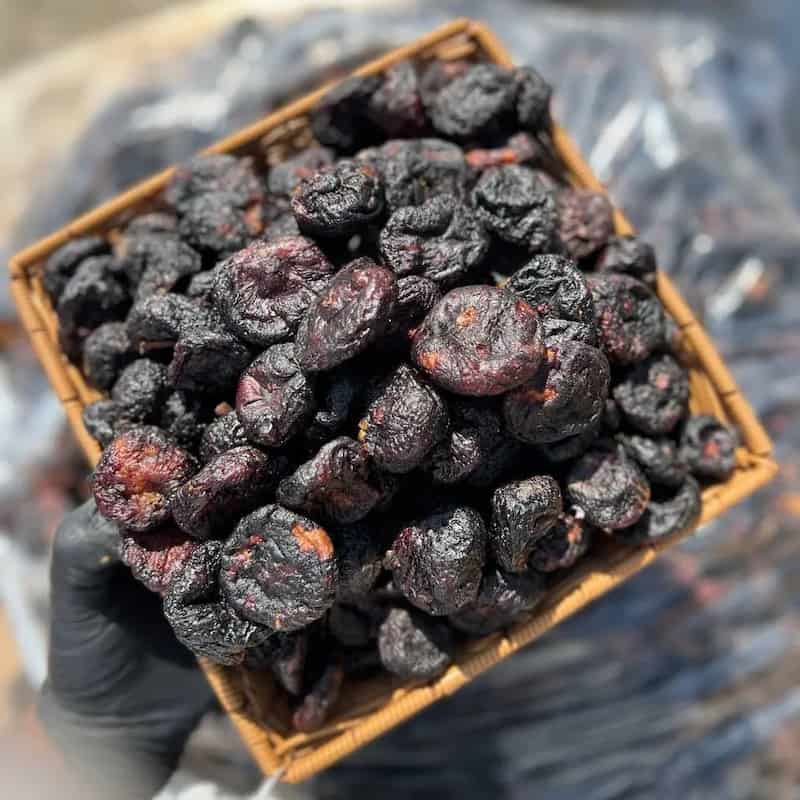 انجیر سیاه خشک لرستان عطر و طعم اصیل یک محصول بومی