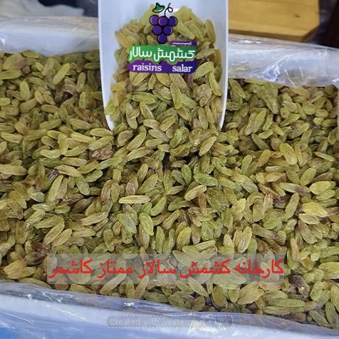 خرید عمده کشمش سبز ممتاز
