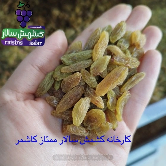 تصویر 4 از خرید عمده کشمش سبز ممتاز