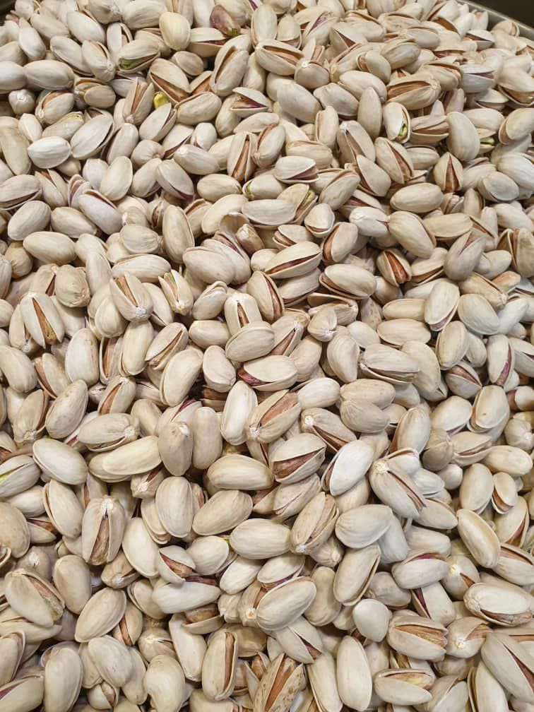 پسته اکبری