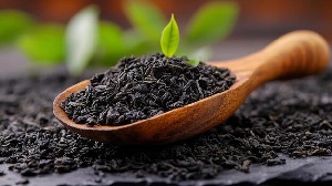خرید چای لاهیجان عمده برای فروشگاه ها