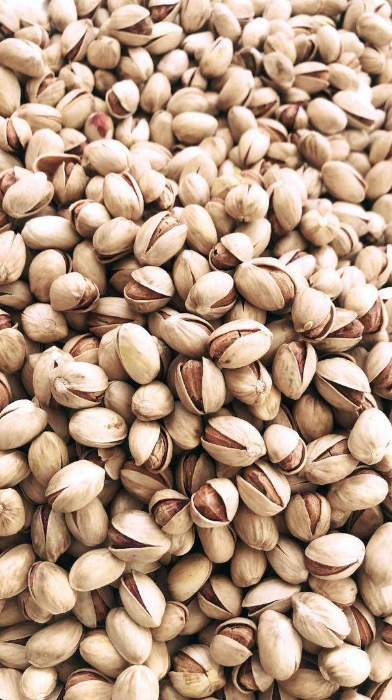 پسته فندقی صادراتی + خرید مستقیم