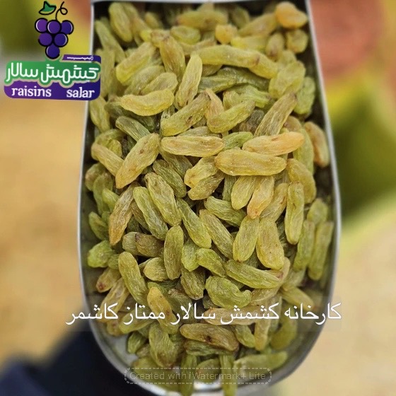 تصویر 3 از خرید عمده کشمش سبز قلمی