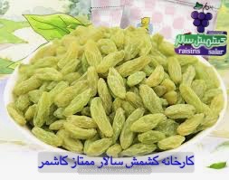تصویر 1 از کشمش سبز قلمی صادراتی اعلا
