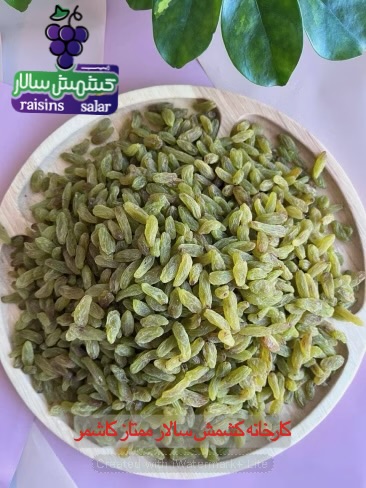 فروش کشمش سبز قلمی درجه یک