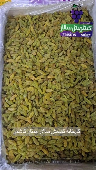 تصویر 5 از فروش کشمش سبز قلمی درجه یک