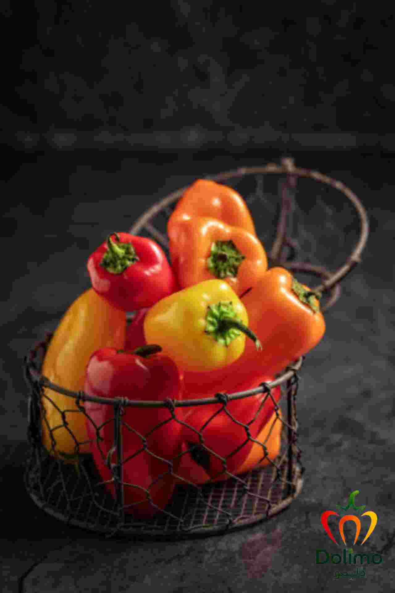 تصویر 2 از فروش عمده فلفل‌ دلمه ای رنگی گلخانه ای با کیفیت مطلوب