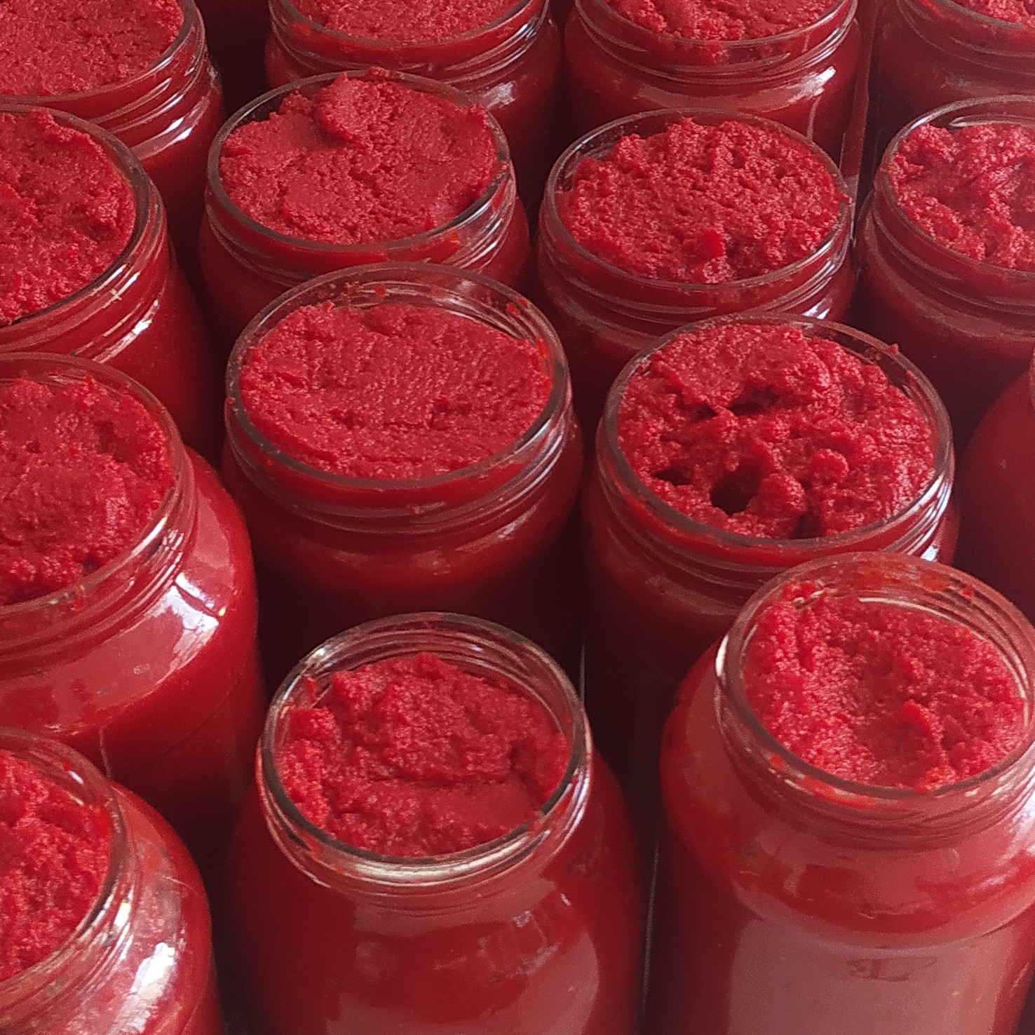 فروش کنسرو رب گوجه فرنگی صادراتی + بسته‌بندی و اسپتیک