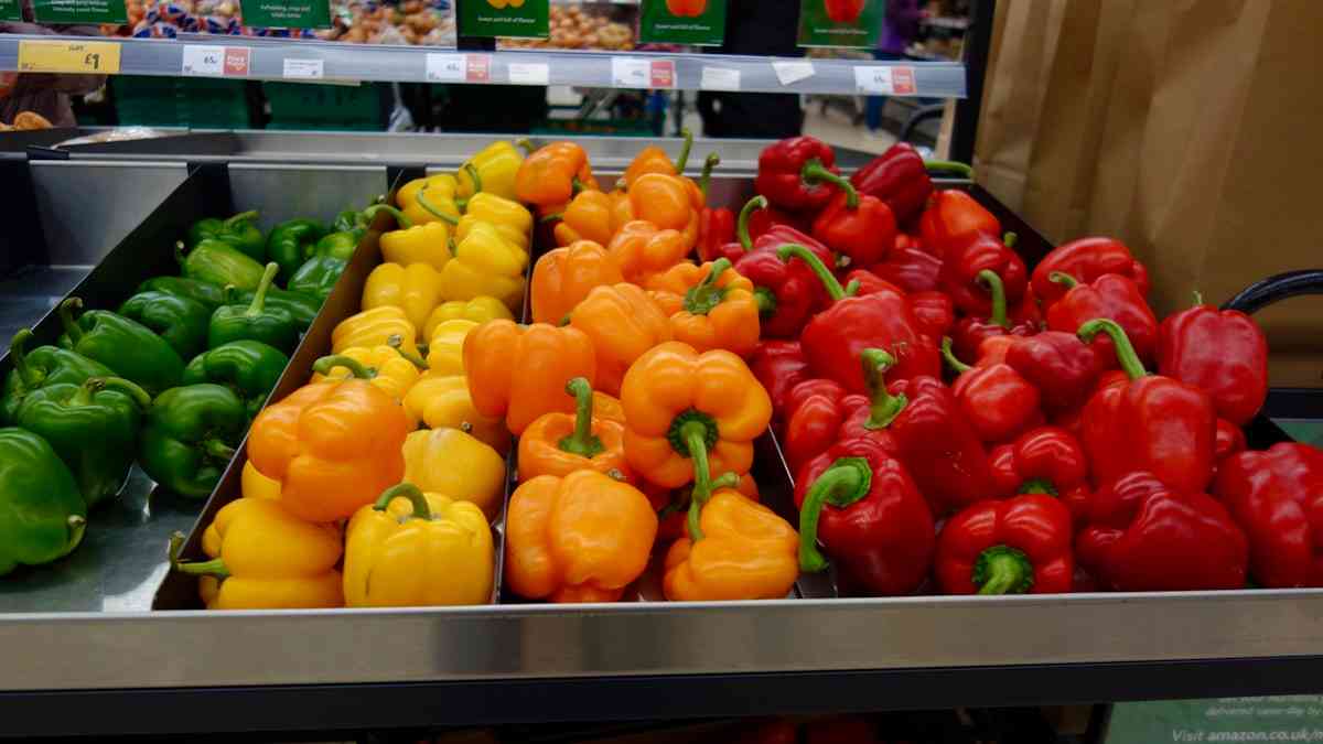 تصویر 3 از فلفل دلمه ای رنگی گلخانه ای درشت و بازارپسند
