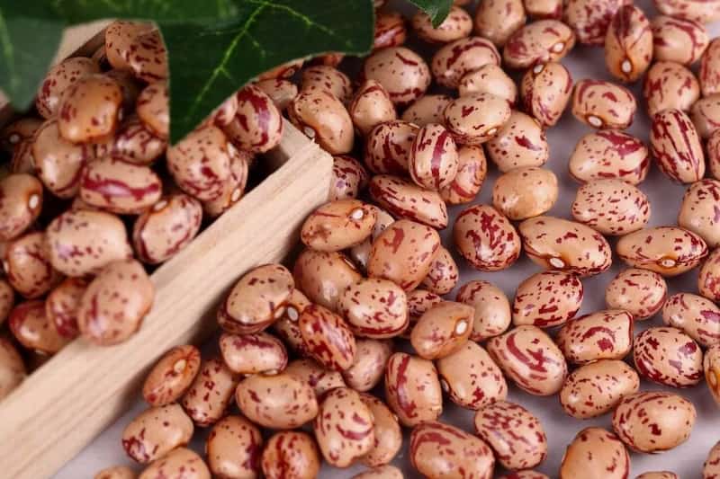 خرید و قیمت لوبیا چیتی محلی + فروش صادراتی