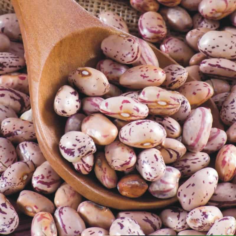 خرید و قیمت لوبیا چیتی تازه + فروش صادراتی