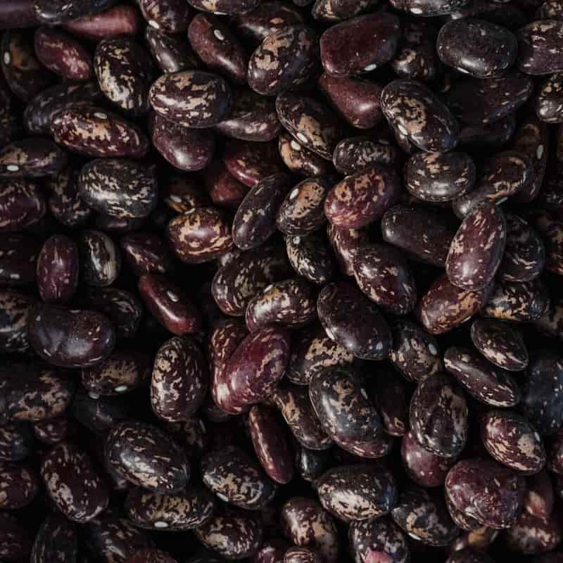 قیمت لوبیا چیتی قرمز + خرید باور نکردنی