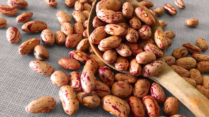 خرید و فروش لوبیا چیتی پلو با شرایط فوق العاده