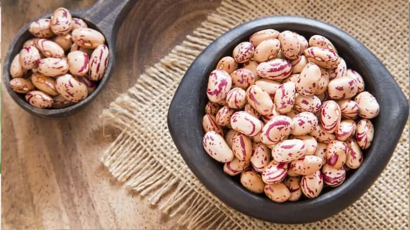 فروش لوبیا چیتی تازه شمال + قیمت خرید به صرفه