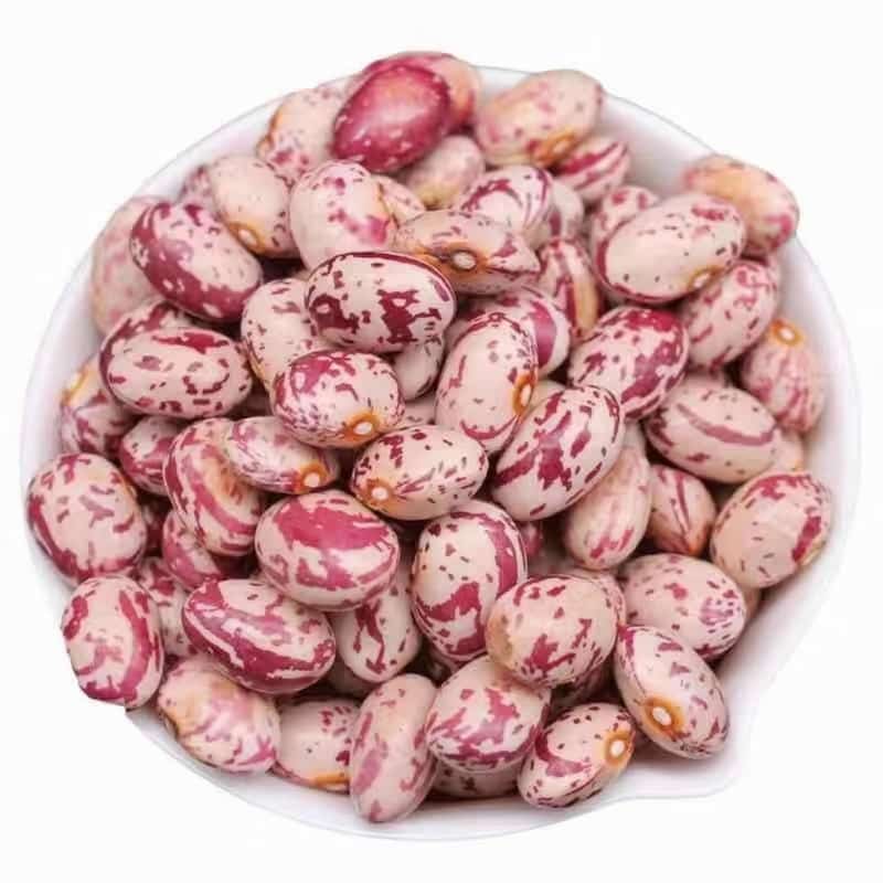 فروش لوبیا چیتی 900 گرمی + قیمت خرید به صرفه