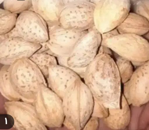 تصویر 4 از بادام منقا مرغوب خرید به صرفه