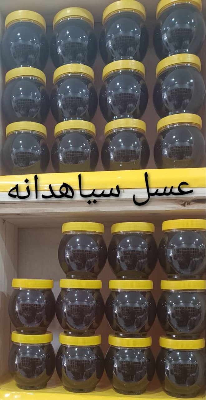 خرید عسل سیاه دانه با تضمین کیفیت و قیمت
