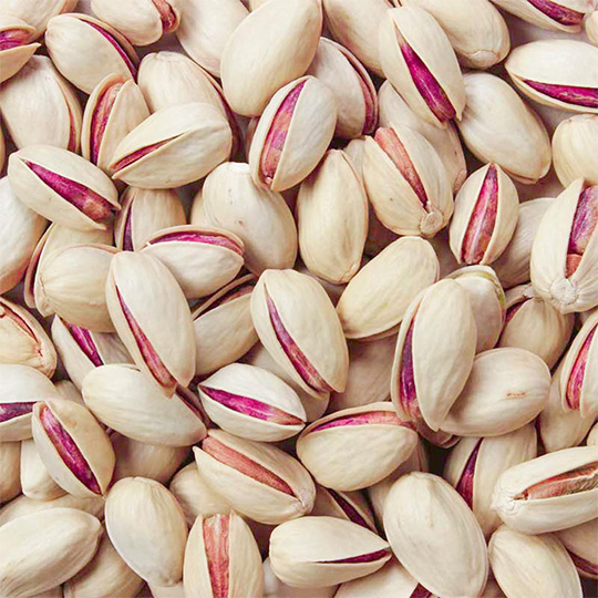 پسته کله قوچی سایز بزرگ + خرید عمده