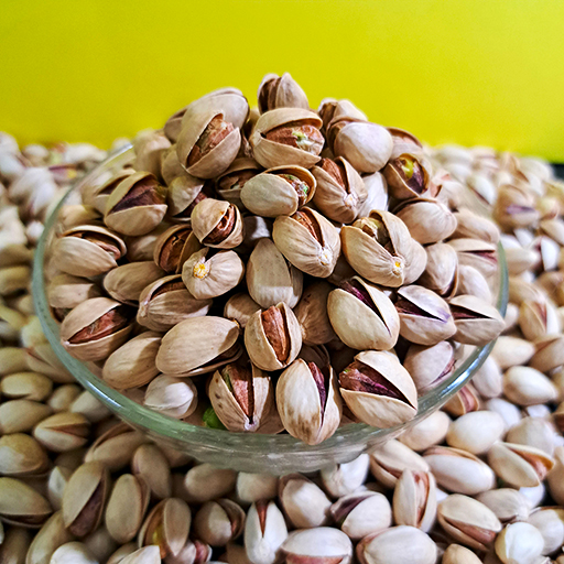 خرید عمده پسته خام فندقی برای فراوری