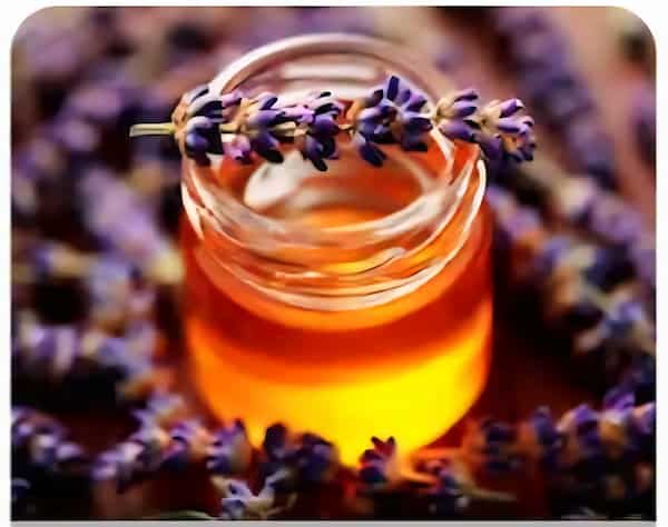 فروش عسل اکالیپتوس