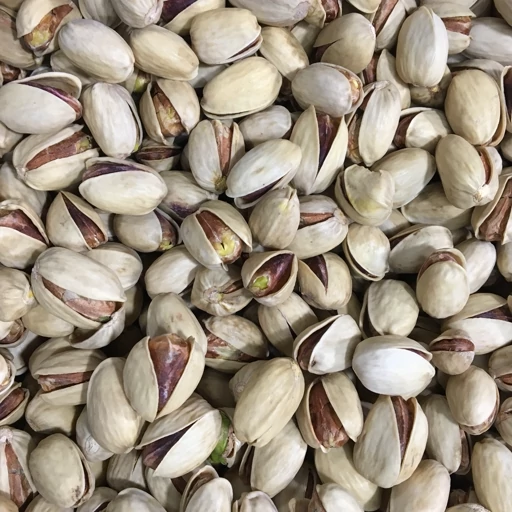 پسته کله قوچی + مناسب بازار خشکبار بین المللی