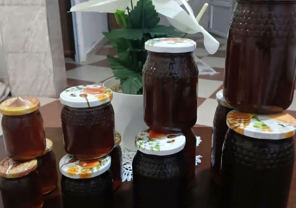 تصویر 4 از قیمت امروز خرید عسل چهل گیاه هانیوا + تحویل سریع