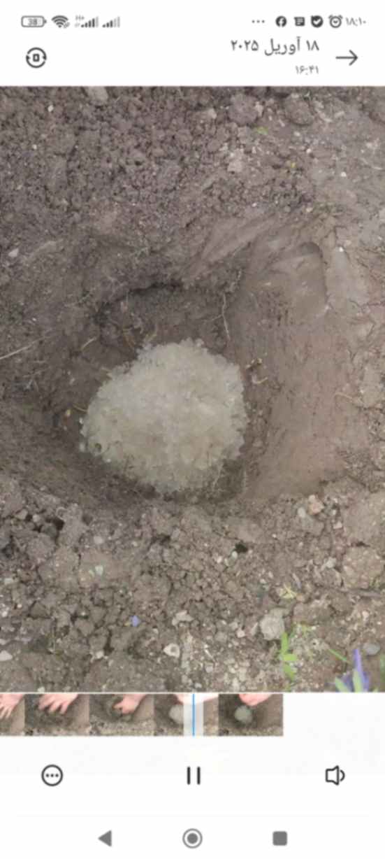 سوپر جاذب کشاورزی؛ ذخیره آب در محدوده ریشه