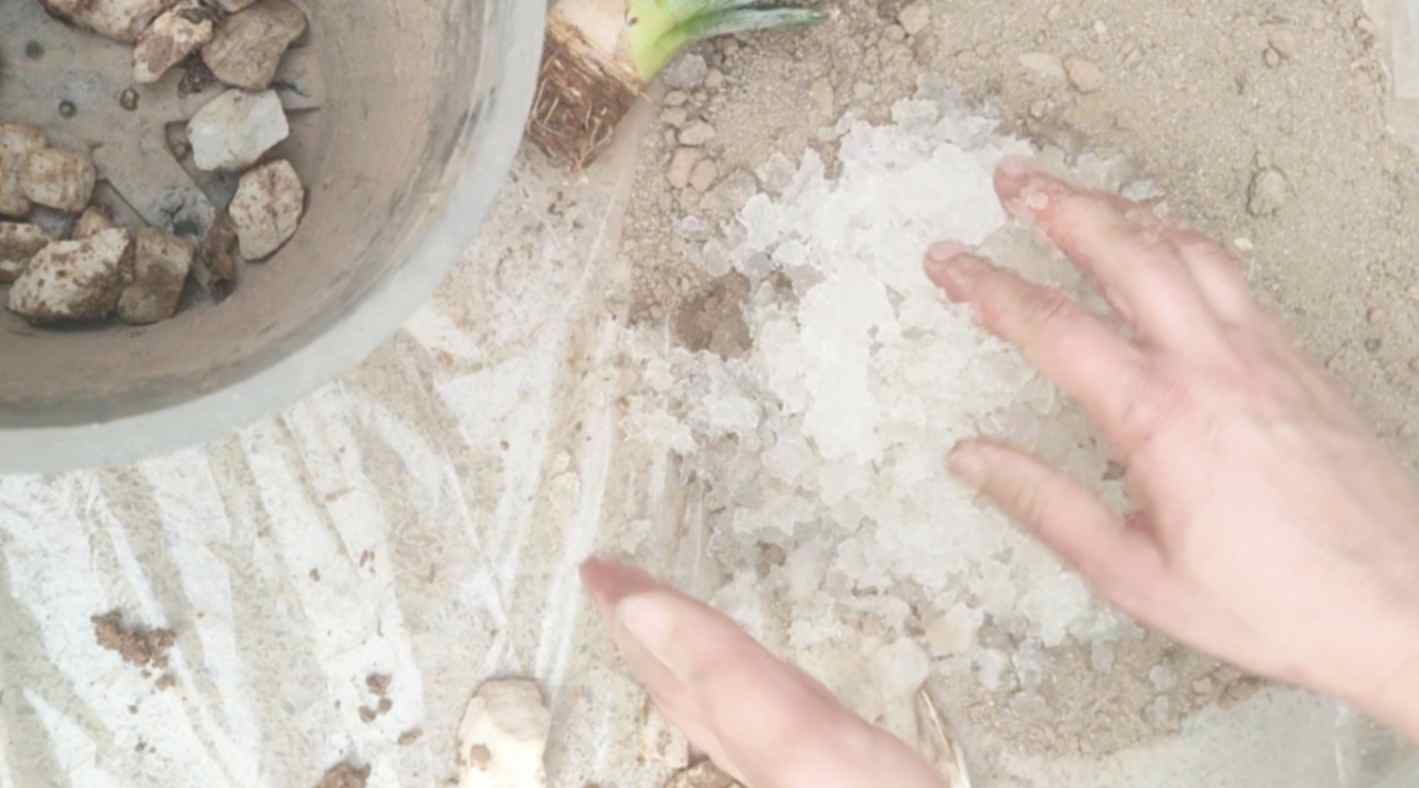 تصویر 3 از سوپر جاذب کشاورزی؛ ذخیره آب در محدوده ریشه
