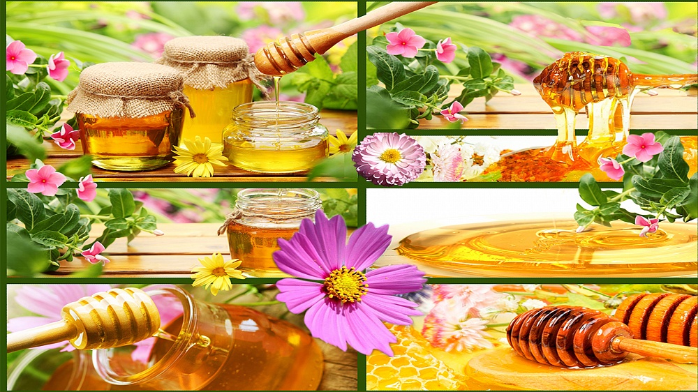 خرید عمده اینترنتی عسل سبز هانیوا + قیمت مناسب