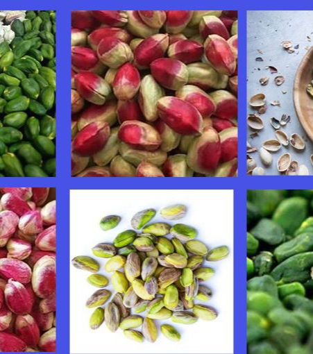 مغز پسته ایرانی و فرصت حضور در بازارهای خارجی + خرید و قیمت عمده
