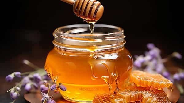 تصویر 5 از فروش مستقیم و عمده عسل چهل گیاه هانیوا + قیمت ویژه