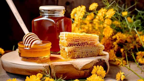 تصویر 4 از فروش مستقیم و عمده عسل چهل گیاه هانیوا + قیمت ویژه