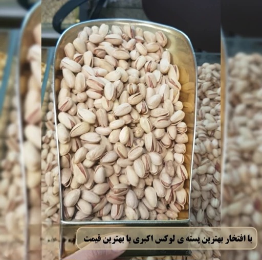 پسته اکبری صادراتی + کیفیتی فراتر از انتظار مشتریان + قیمت و خرید عمده