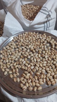 پسته کله قوچی صادراتی گزینه مناسب بازار های خارجی + قیمت و خرید عمده