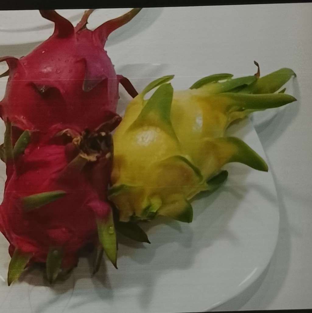 تصویر 3 از قیمت عمده میوه دراگون ۷۰۰ گرمی