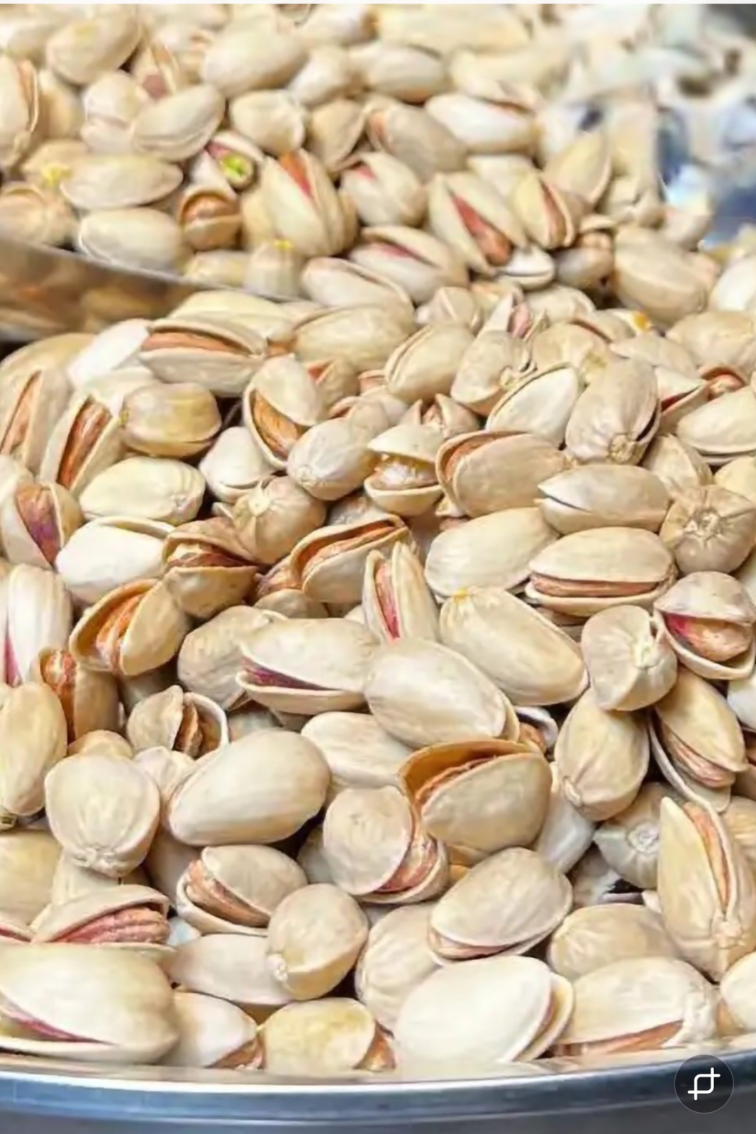 پسته اکبری مجلسی + انتخابی خاص برای سفارشهای تجاری + قیمت و خرید عمده