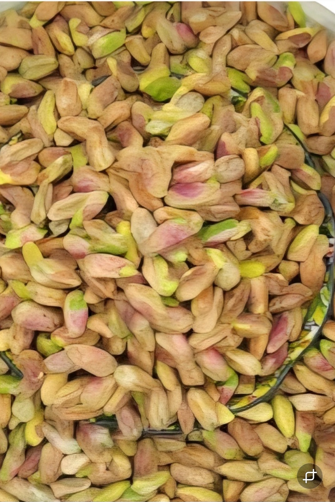 مغز پسته اکبری خام ممتاز + خرید مستقیم و قیمت عمده رقابتی