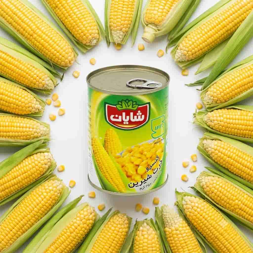 کنسرو ذرت شایان انتخابی هوشمند برای وعده های فوری