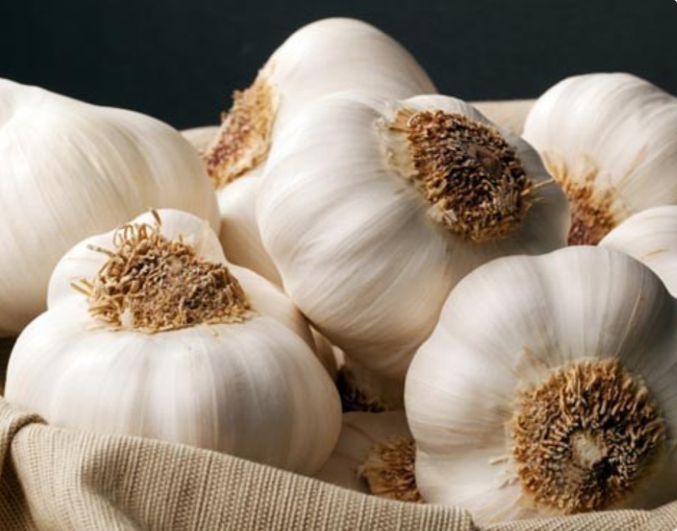 تصویر 4 از پودر سیر اعلا تازه درجه یک
