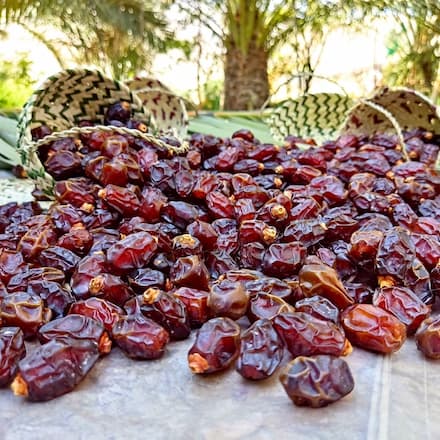 خرید نقدی خرمای خاصویی؛ تخفیف ویژه