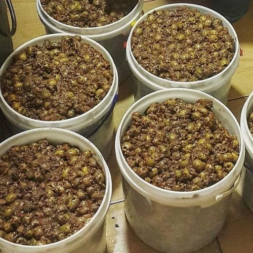 تصویر 1 از زیتون پرورده معمولی ۳ کیلویی + چاشنی اصیل شمالی با طعم ملس و خوش عطر