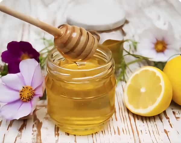خریدعسل گل به قیمت تولید کننده
