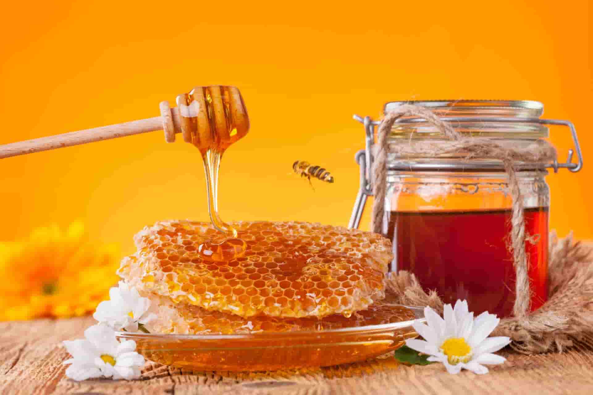 عسل کوهی طبیعی مناسب بازارهای داخلی و منطقه ای