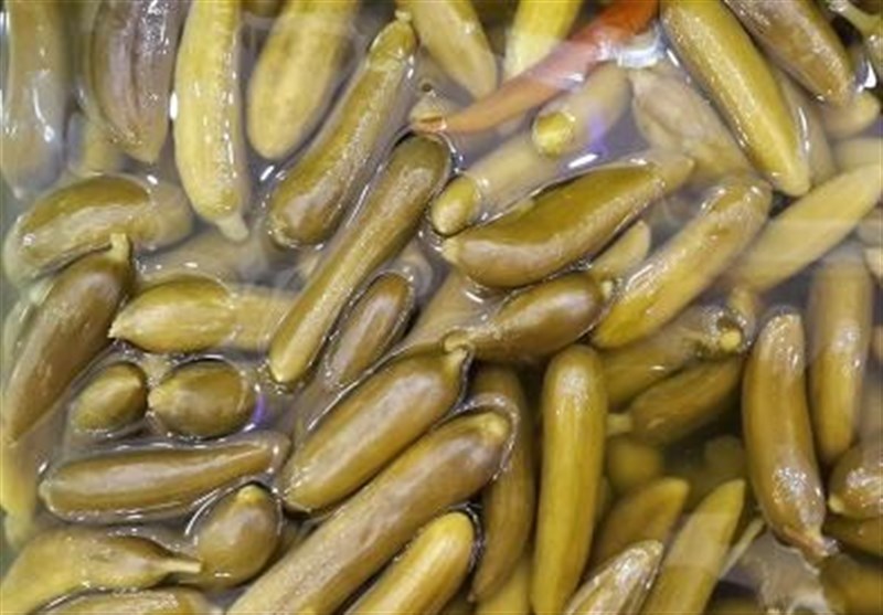 تصویر 2 از خیارشور ویژه ۲۰۰ گرم + خیارشور ترد و با کیفیت