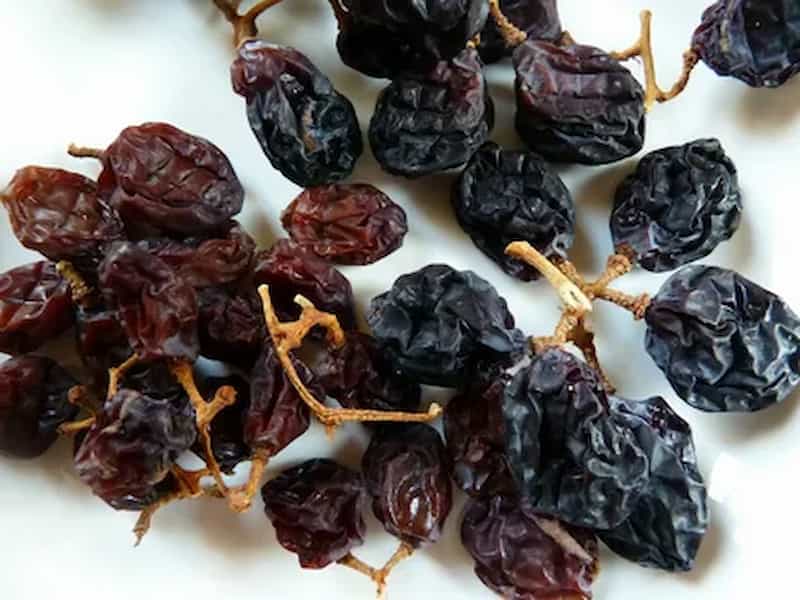 کشمش آفتابی کاشمر با طعم طبیعی و کیفیت مناسب