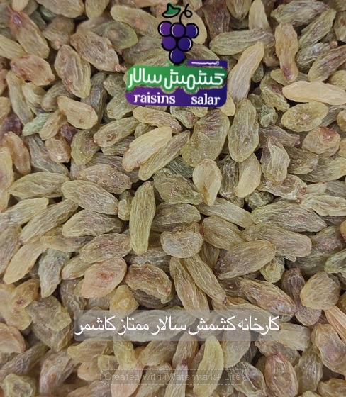 کشمش سبز قلمی صادراتی