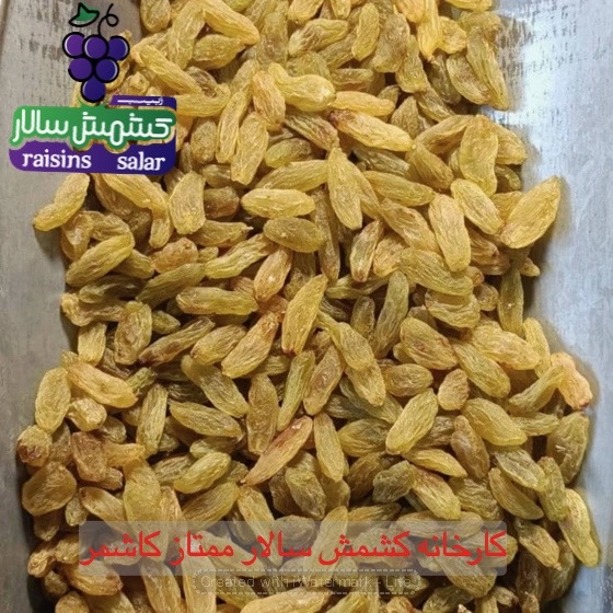 تصویر 5 از کشمش سبز قلمی صادراتی