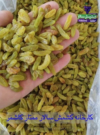 تصویر 1 از فروش کشمش سبز قلمی درجه یک