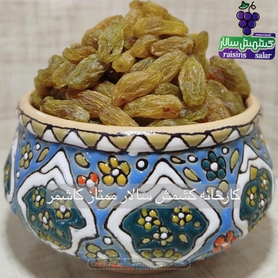 تصویر 6 از فروش کشمش سبز قلمی درجه یک